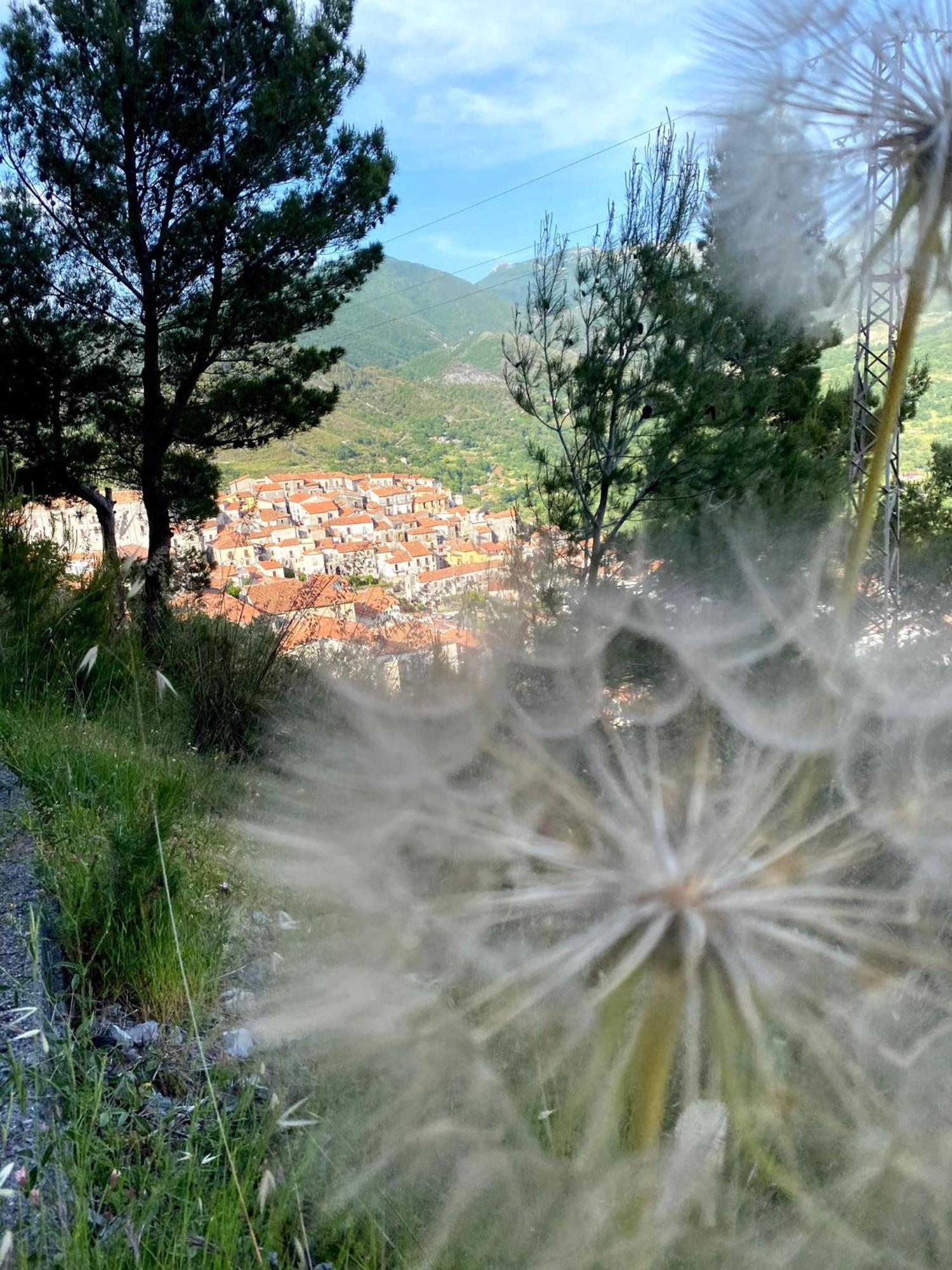 Casa- Vacanza Giro' - C2A6Peu3Ow Aieta Экстерьер фото