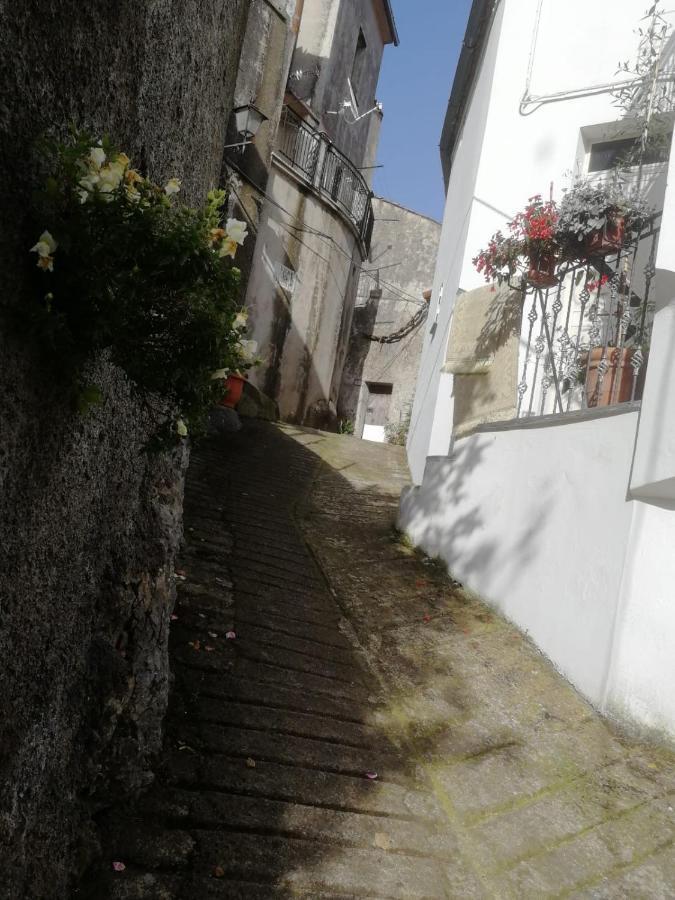 Casa- Vacanza Giro' - C2A6Peu3Ow Aieta Экстерьер фото